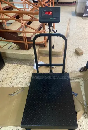 Floor Type Weighing Scale A12e Weigh Platform Weighing Scales 500kg