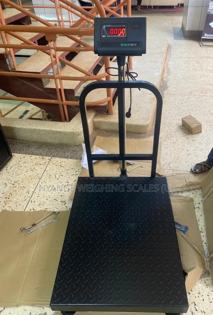 Floor Type Weighing Scale A12e Weigh Platform Weighing Scales 500kg