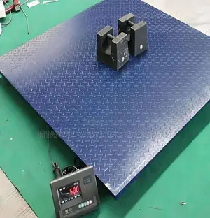Digital 1000kg-5000kg Platform Floor Weighing Scale