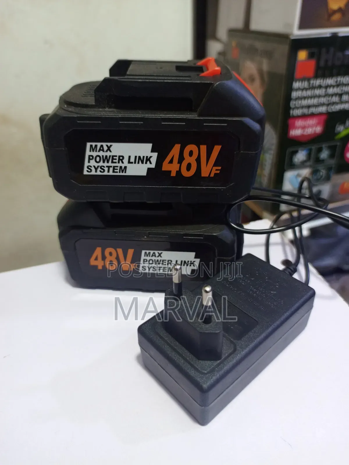 48v Rechargeable Battery With Charger