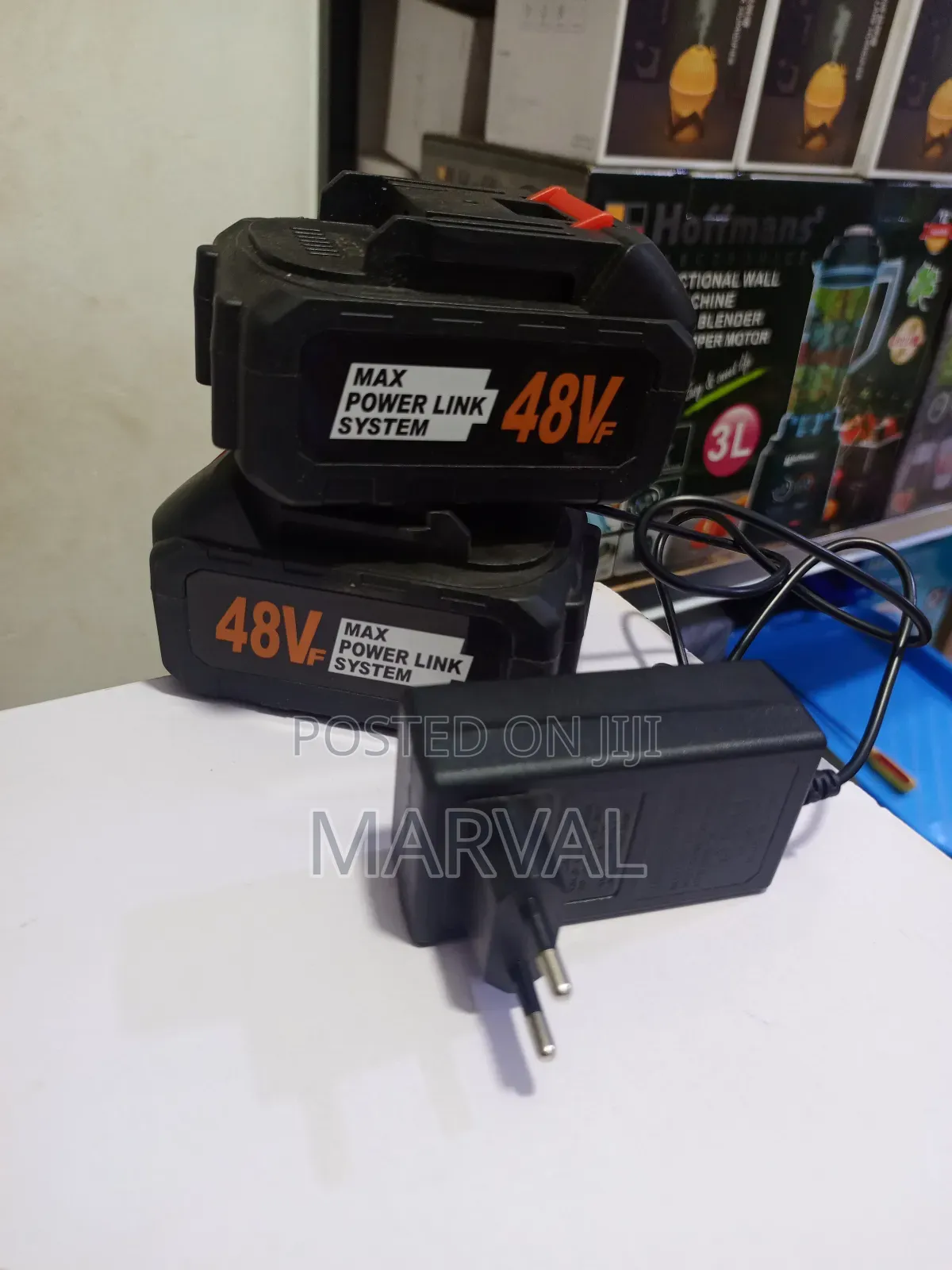 48v Rechargeable Battery With Charger