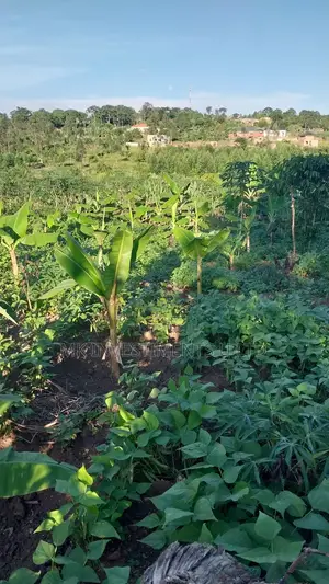 Titled Plot in Matugga Kavule
