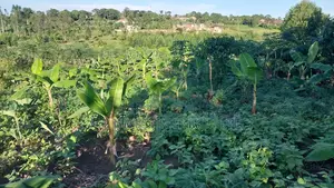 Titled Plot in Matugga Kavule