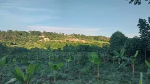Titled Plot in Matugga Kavule