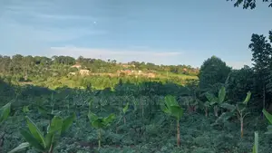 Titled Plot in Matugga Kavule