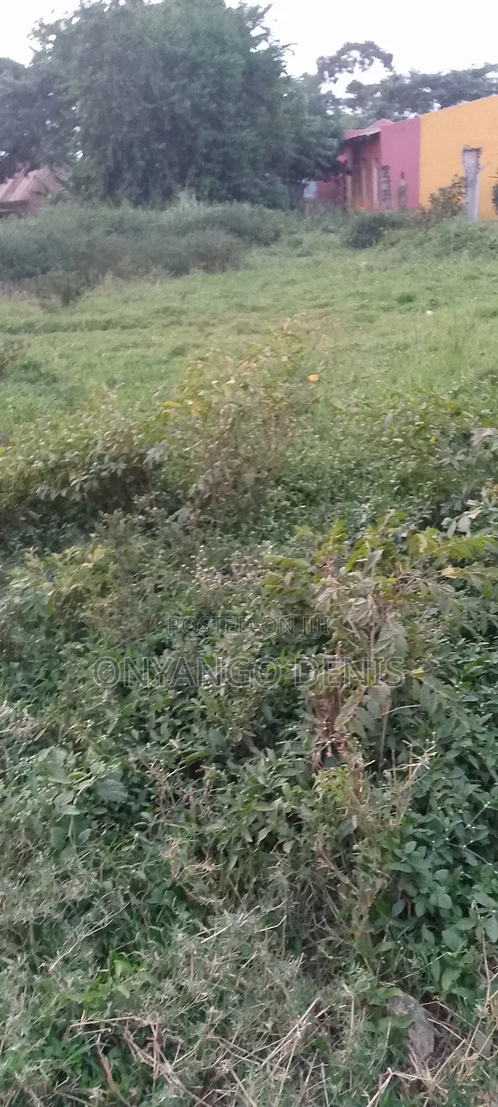 Plots for Sale