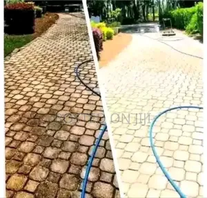 Paver Cleaning Services