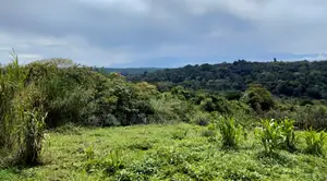 8 Acres of Land for Sale in Bigodi Adjacent Kibale Forest.