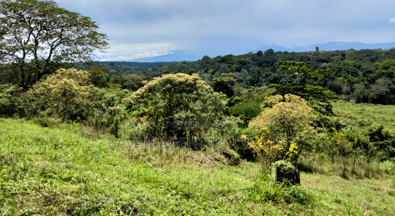 8 Acres of Land for Sale in Bigodi Adjacent Kibale Forest.