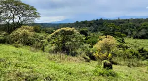 8 Acres of Land for Sale in Bigodi Adjacent Kibale Forest.