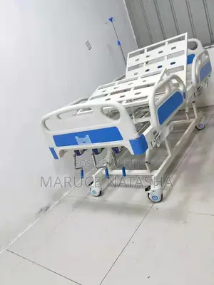 Three Crank Manual Admission Bed