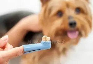 Cats and Dogs Toothbrush Set