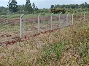 Fencing / Concrete Poles and All Fencing Services