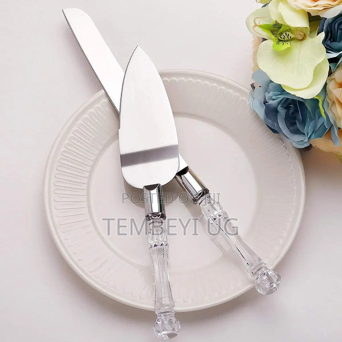 Set of 2 Stainless Steel, Acrylic Handle Cake Knives
