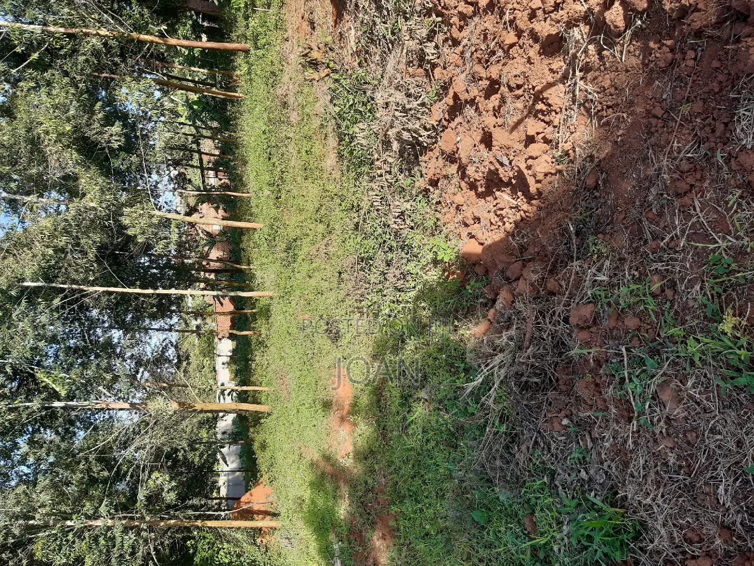 50/100ft Plots Near Kajansi-Entebbe Road at 25m Only