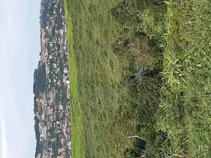 50/100ft Plots Near Kajansi-Entebbe Road at 25m Only