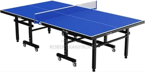 Standard Table Tennis Set