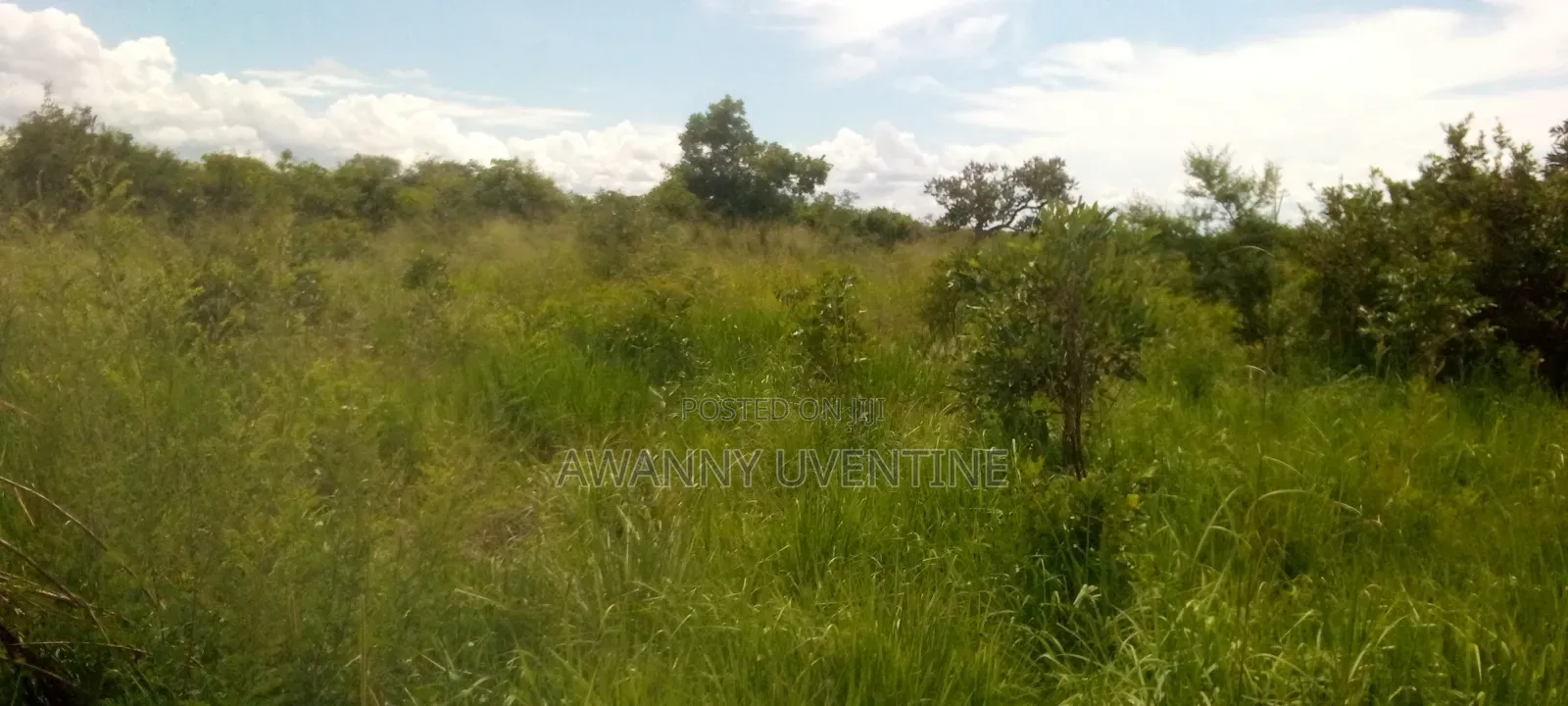 Over 6 Acres of Land on Sale in Alito Kole
