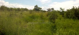 Over 6 Acres of Land on Sale in Alito Kole