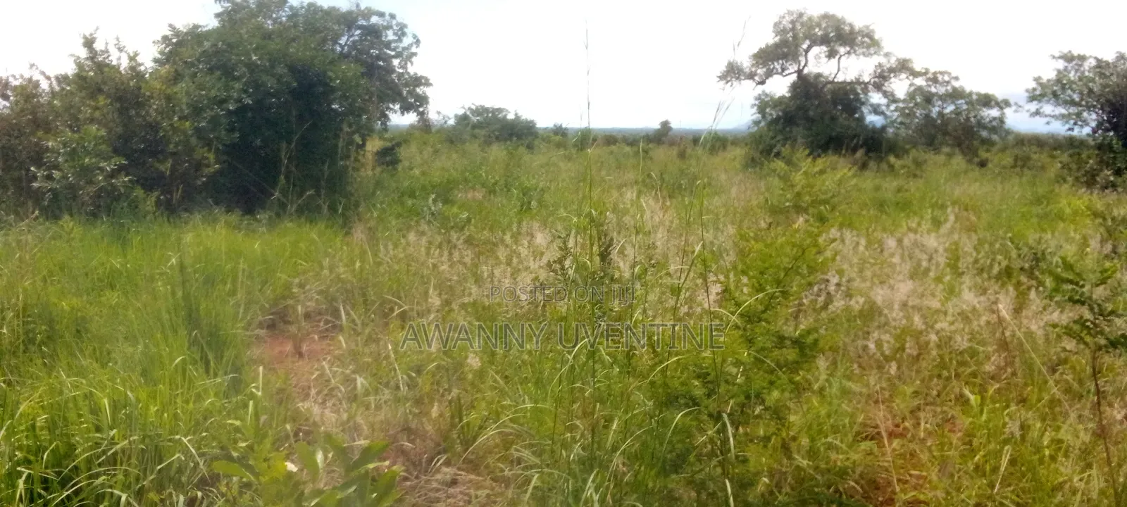 Over 6 Acres of Land on Sale in Alito Kole