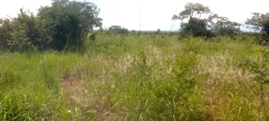 Over 6 Acres of Land on Sale in Alito Kole
