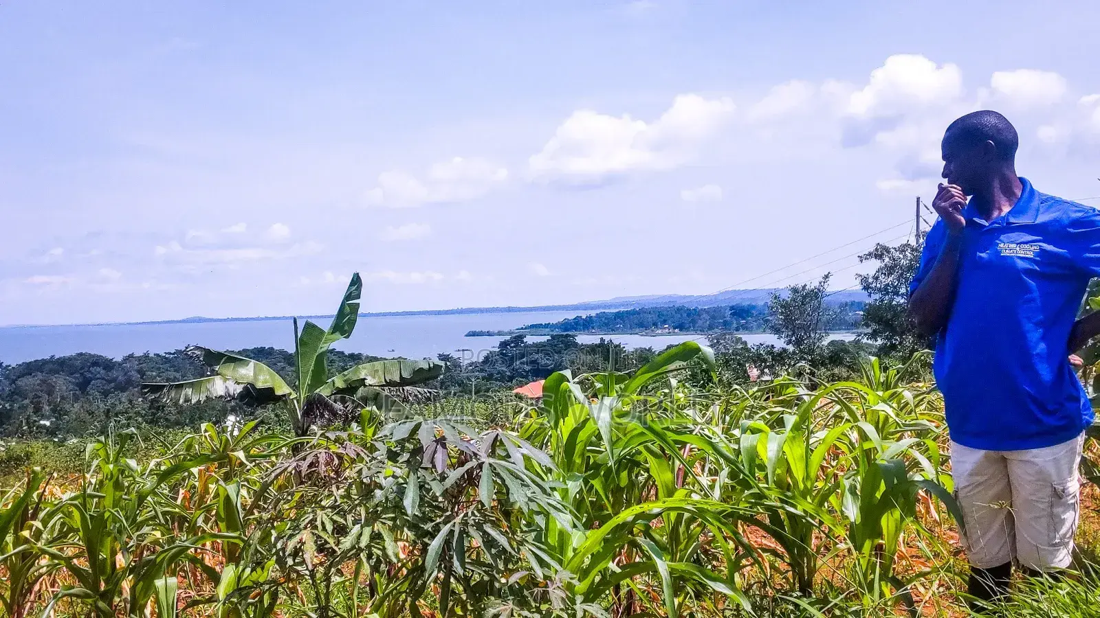 Entebbe Airport View Buwaya
