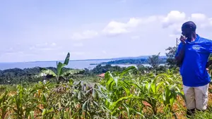Entebbe Airport View Buwaya