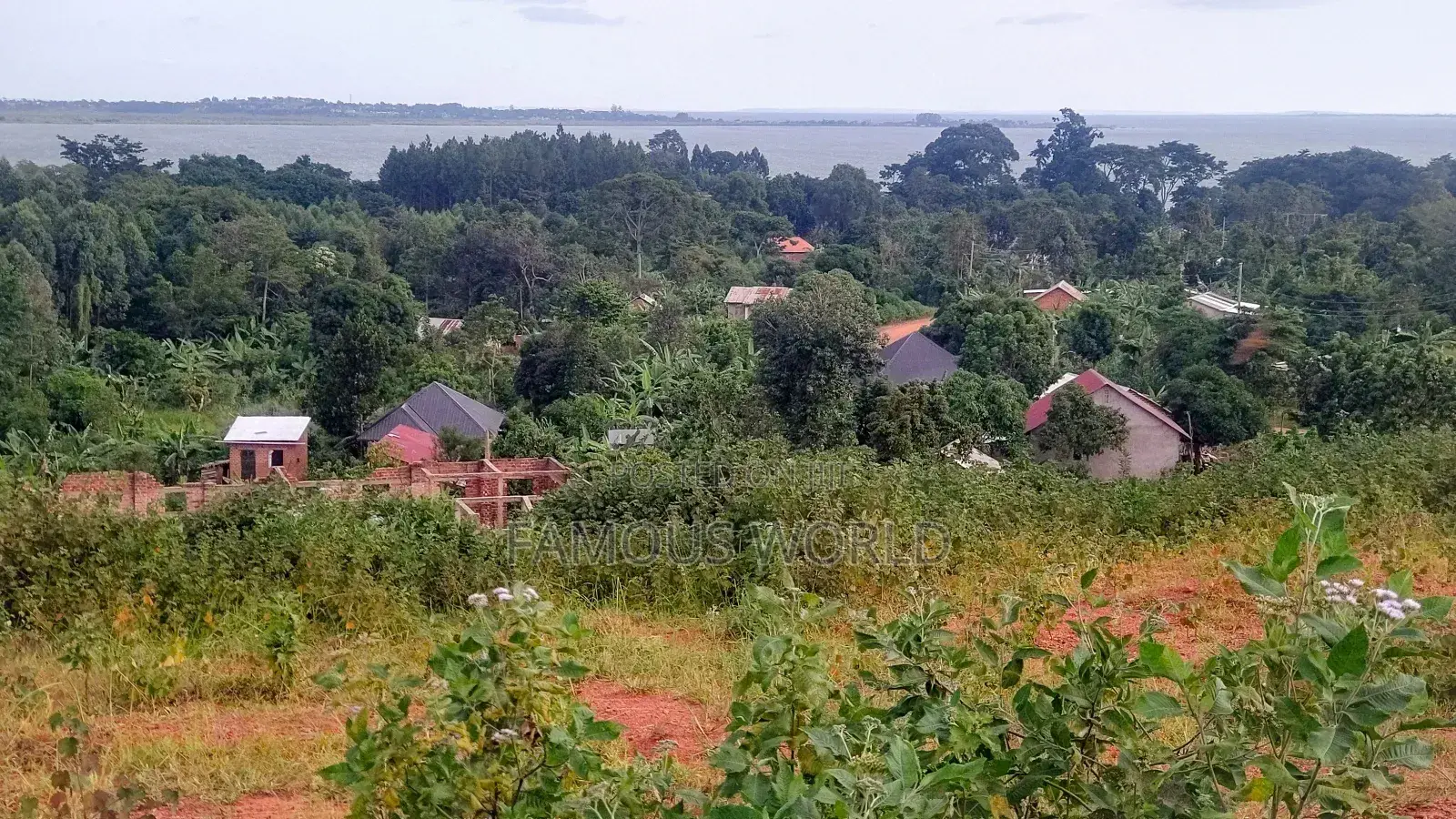 Entebbe Airport View Buwaya