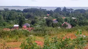 Entebbe Airport View Buwaya