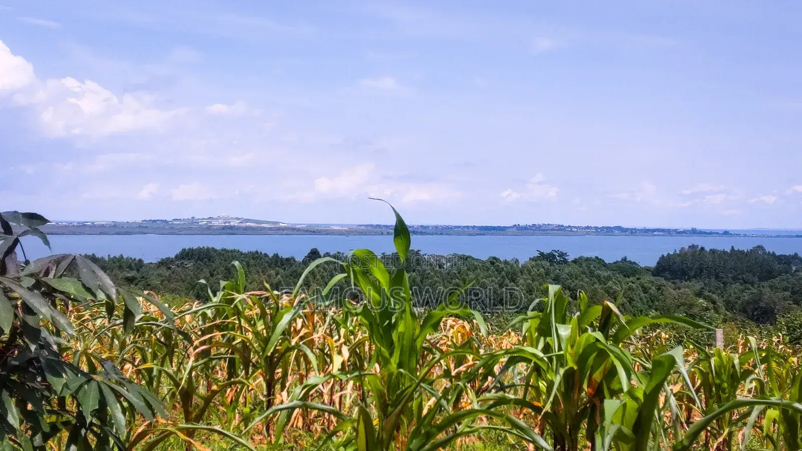 Entebbe Airport View Buwaya
