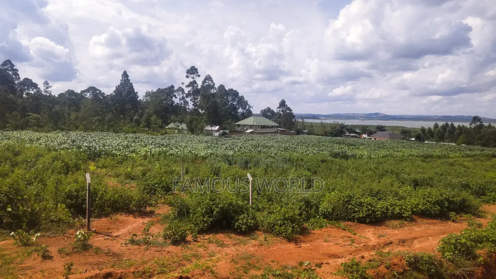 Entebbe Buwaya Titled Land on Sale