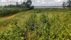 Entebbe Buwaya Titled Land on Sale