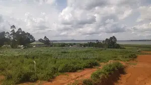 Entebbe Buwaya Titled Land on Sale