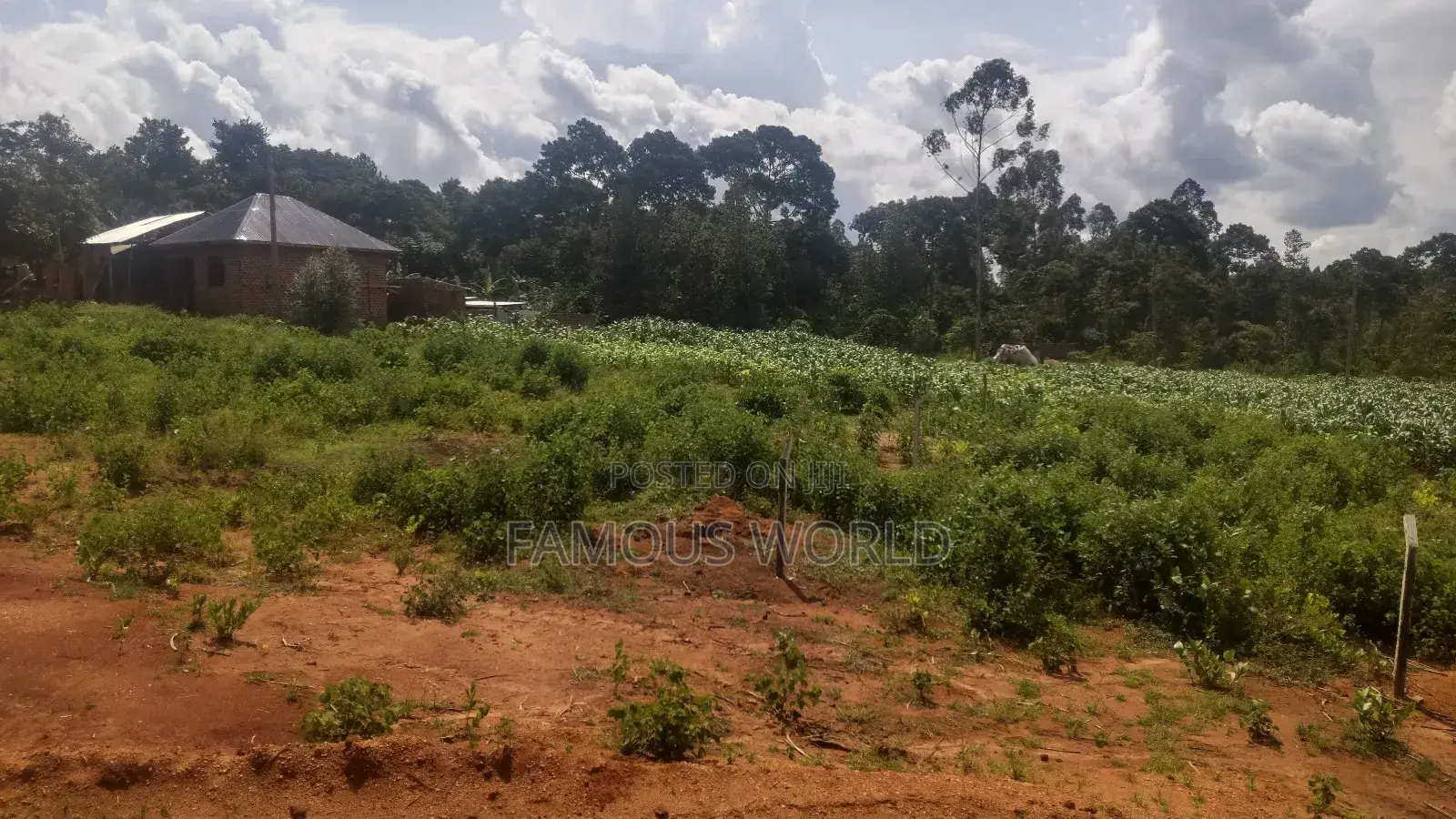 Entebbe Buwaya Titled Land on Sale
