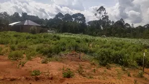 Entebbe Buwaya Titled Land on Sale