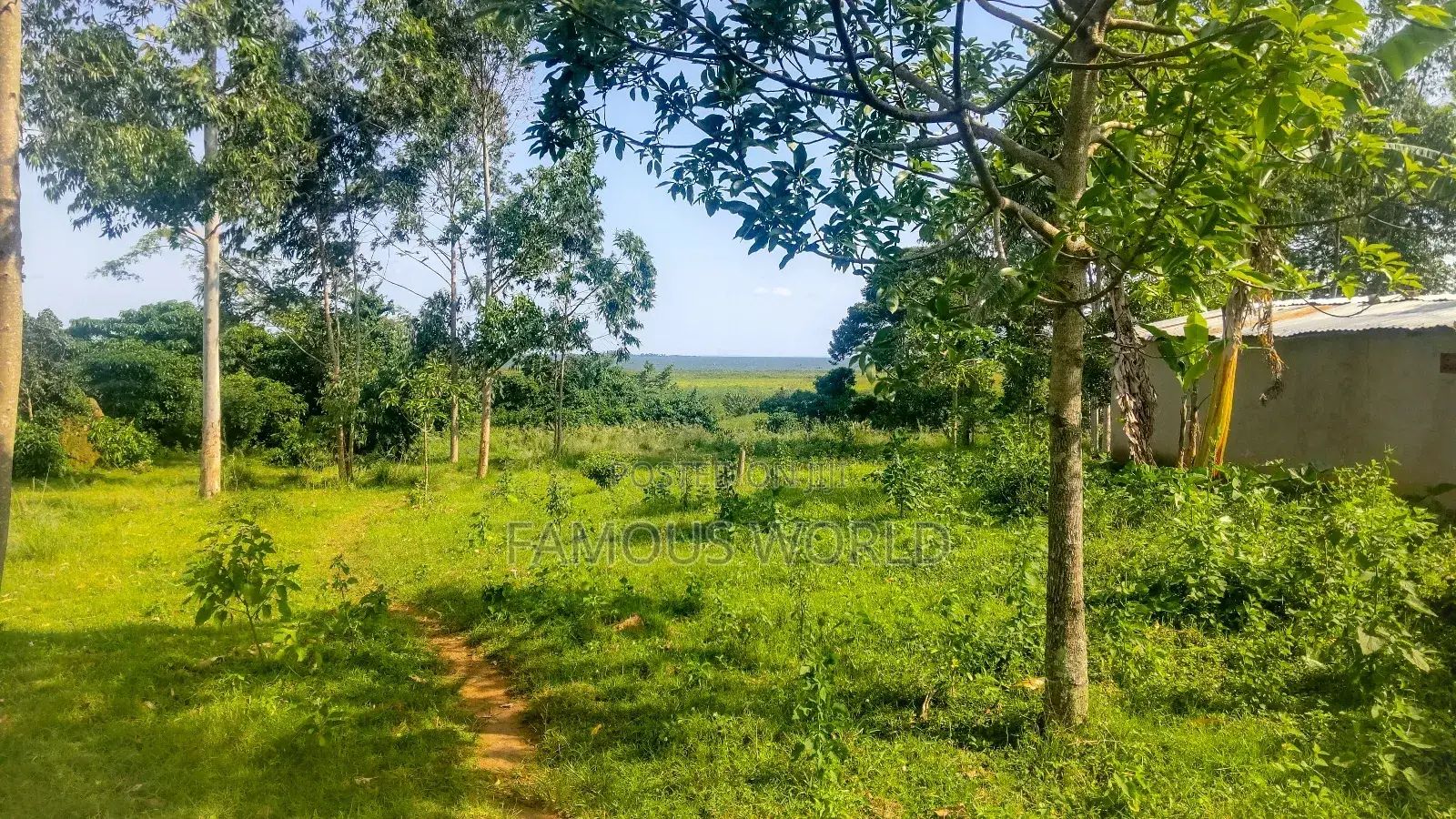 Entebbe Buwaya Plots on Sale