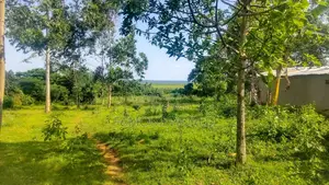 Entebbe Buwaya Plots on Sale