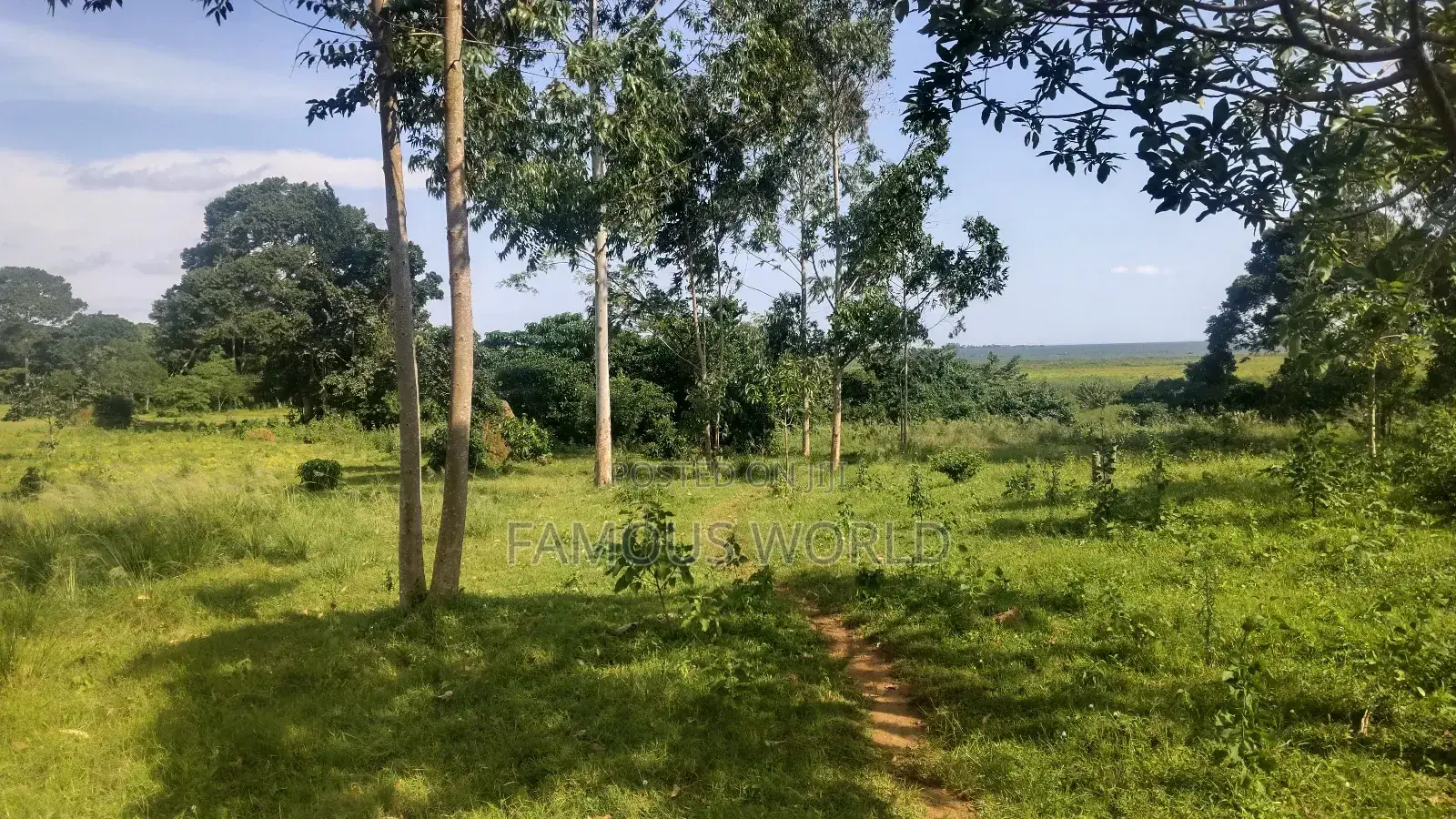 Entebbe Buwaya Plots on Sale