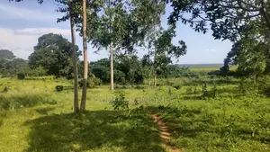 Entebbe Buwaya Plots on Sale