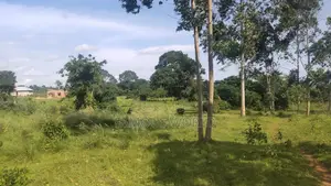 Entebbe Buwaya Plots on Sale