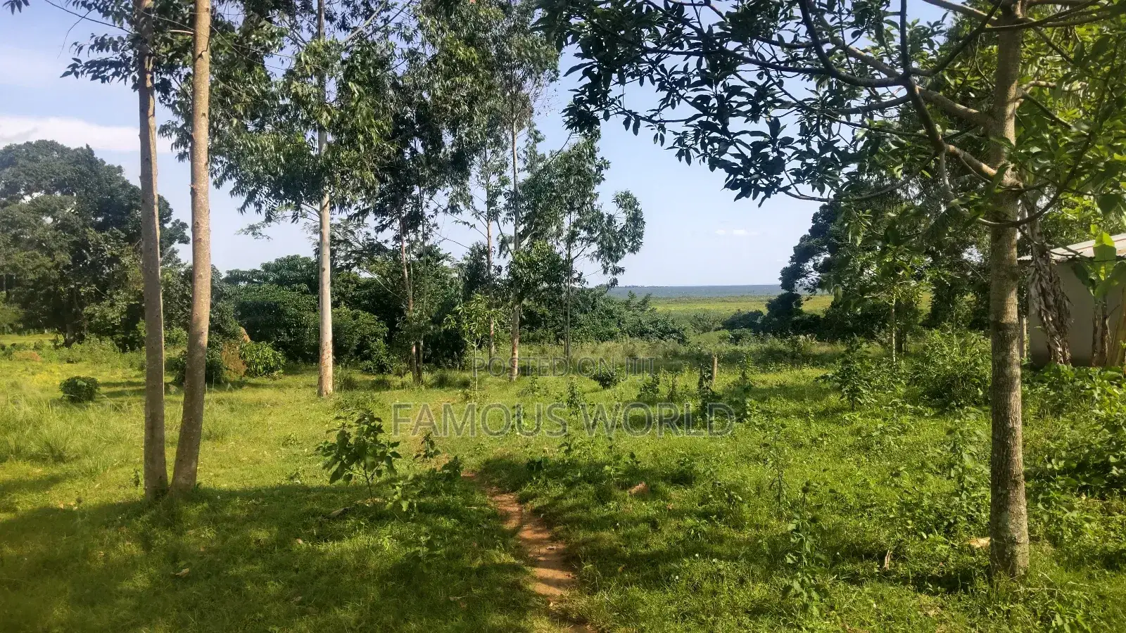 Entebbe Buwaya Plots on Sale