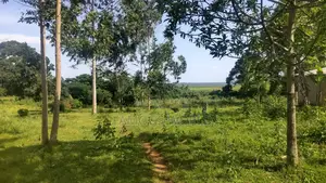 Entebbe Buwaya Plots on Sale