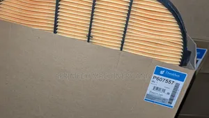 Donaldson Elementary Air Safety Filter