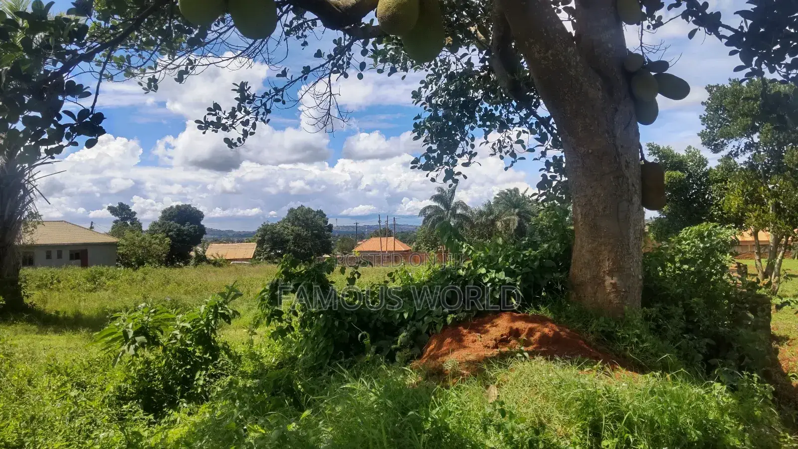 Entebbe Busambaga / Katabi 3.20 Acres of Land on Sale