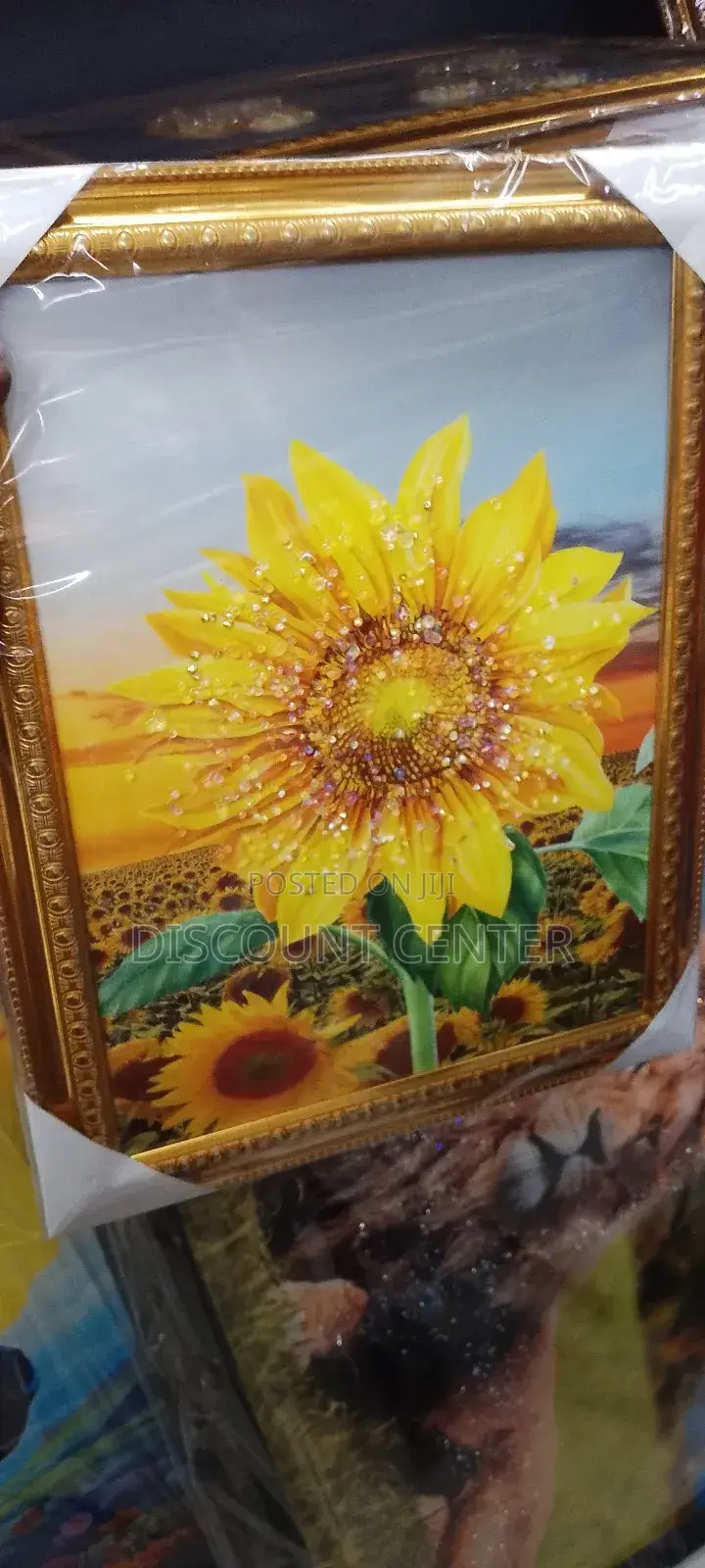 Decorative Photos