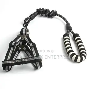 Pet Chain for Training