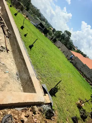 Modern Compound Design