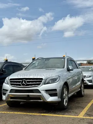 Photo - Mercedes-Benz M Class 2014 Silver