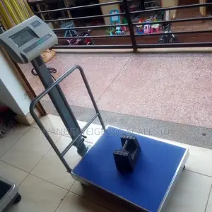 Heavy Duty Balance Weighing Scales SJS A12 400kg Weigh Scale