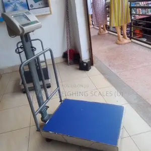Platform Balance Weighing Scales SJS A12 400kg Weigh Scales